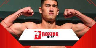 Light heavyweights: शीर्ष 12 सर्वश्रेष्ठ लाइट हैवीवेट  