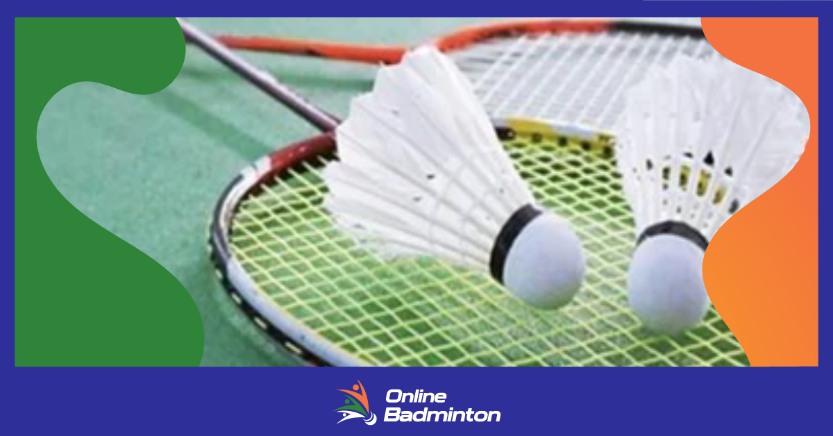 Badminton : बाजार सर्वेक्षण कहता है कि  बैडमिंटन एक लोकप्रिय खेल है  