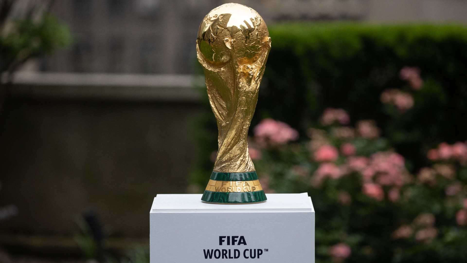 Saudi Arabia 2034: The 15 stadiums hoping to host World Cup  