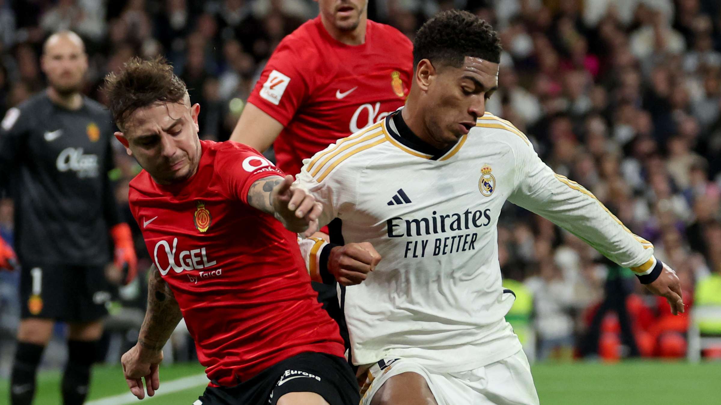 'Bellingham is fake' - Maffeo reignites Madrid crusade and takes aim at England star  