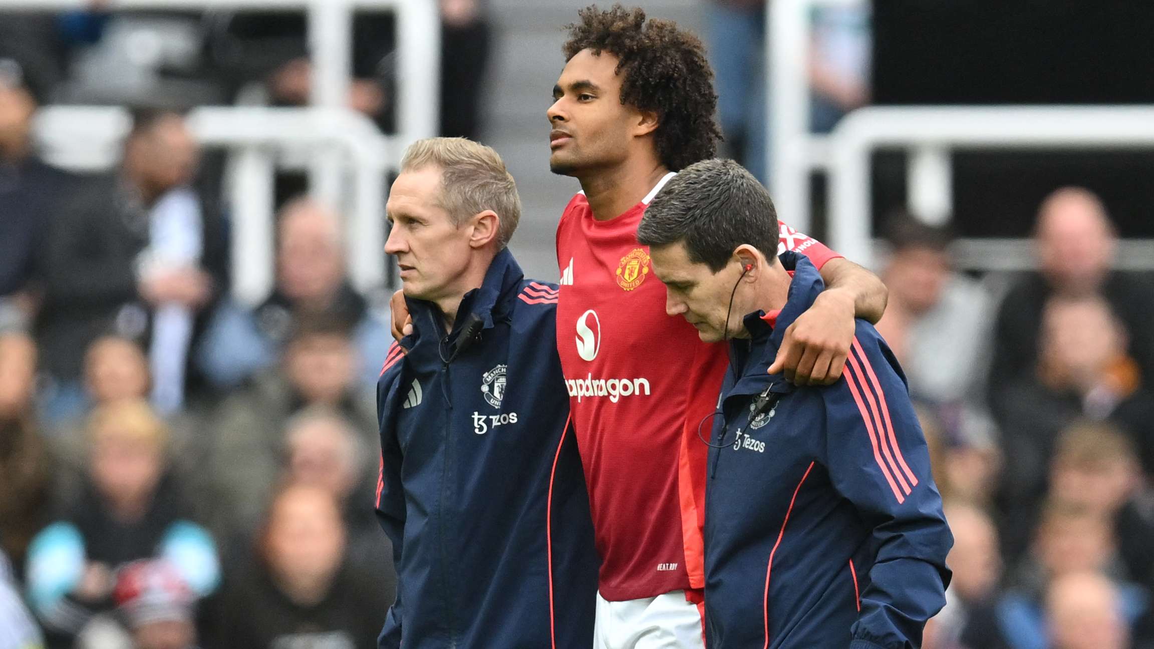 Man Utd dealt Zirkzee blow as striker may miss rest of season  
