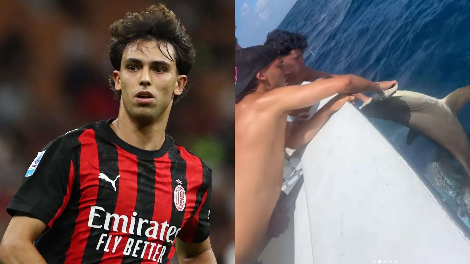 📽️ | Chelsea flop Felix has close encounter with SHARK  