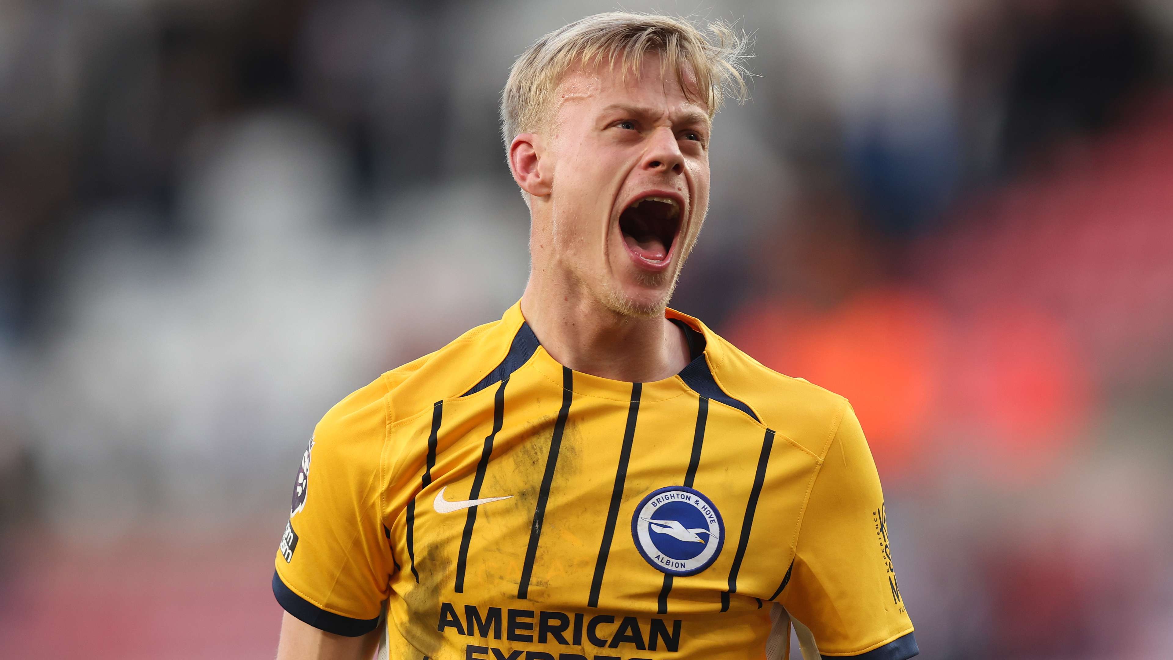 Tottenham rejected again! Brighton turn down second bid for Van Hecke  