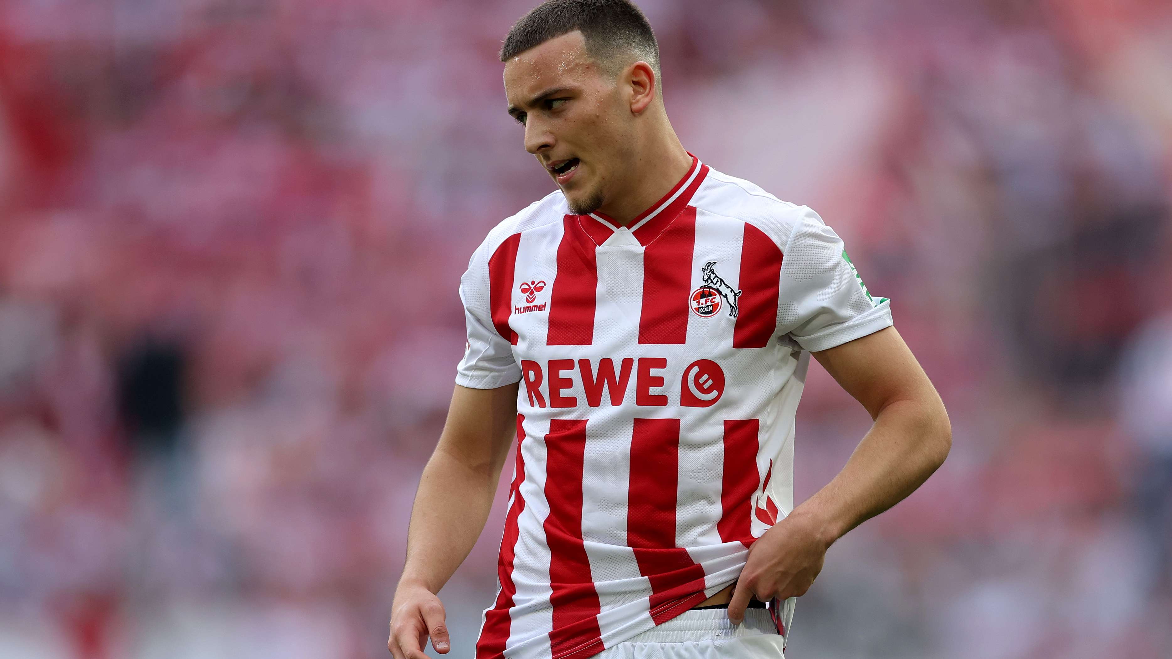 Cologne fans are baffled: two reasons why El Mala's move fell through?  