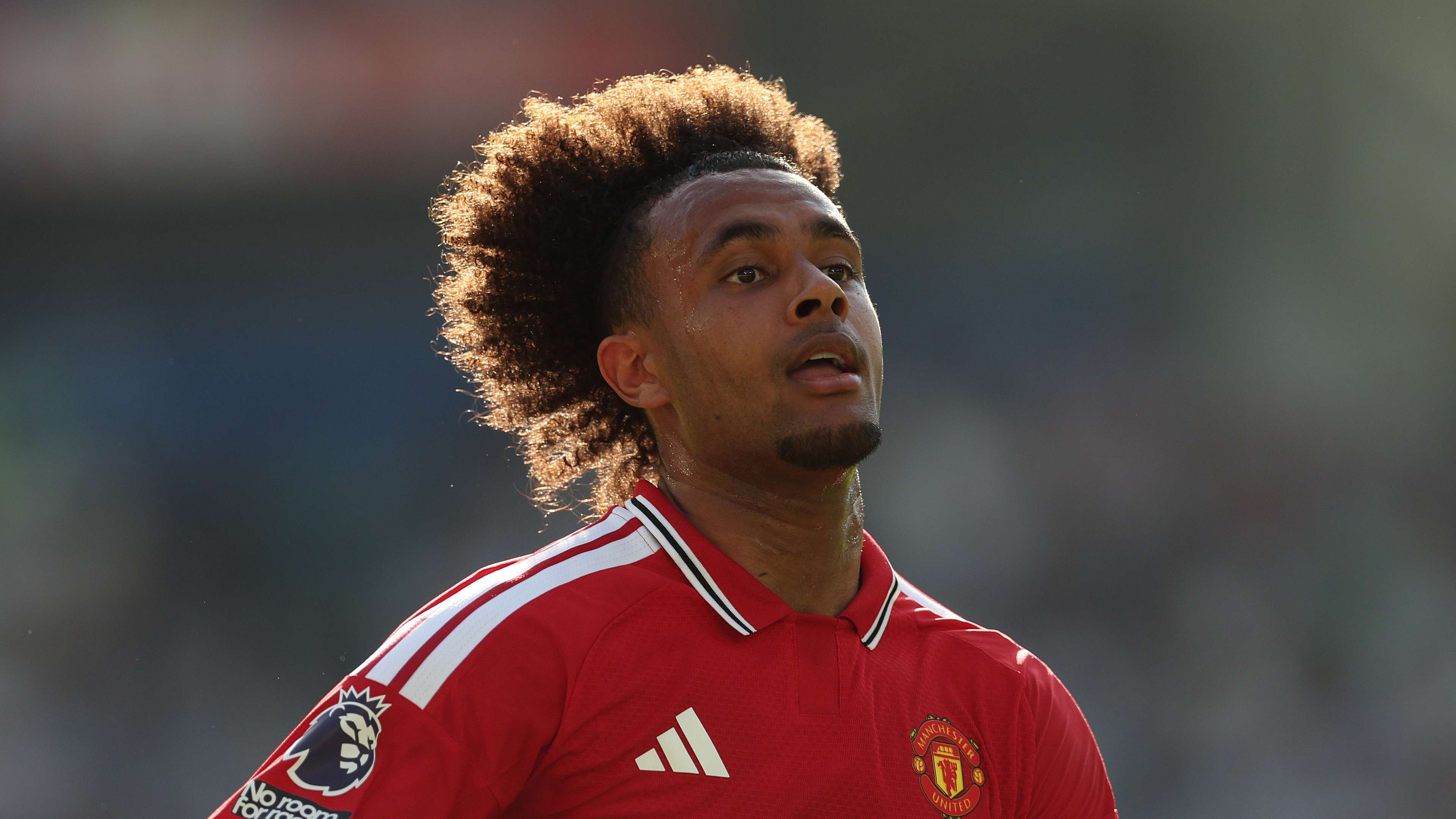 Zirkzee fields transfer interest from multiple clubs  