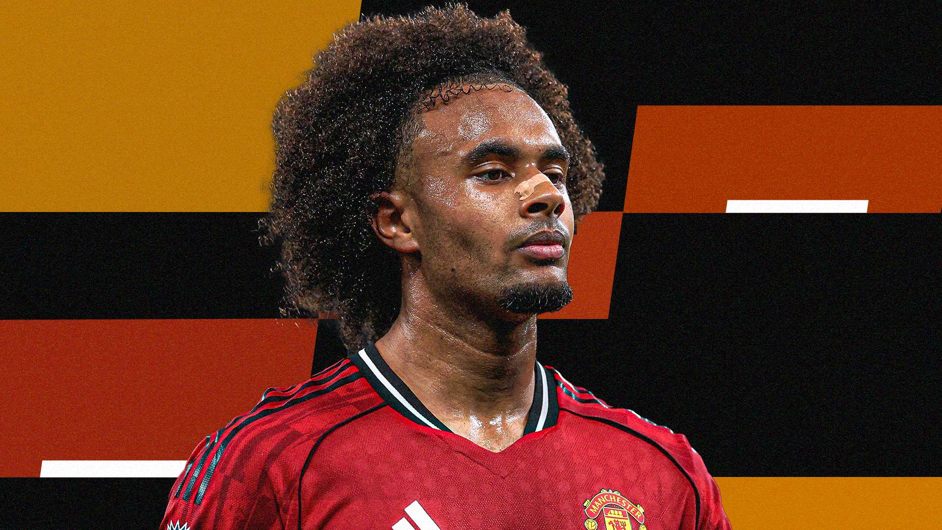 Zirkzee a late-market opportunity for Juventus: what is emerging  