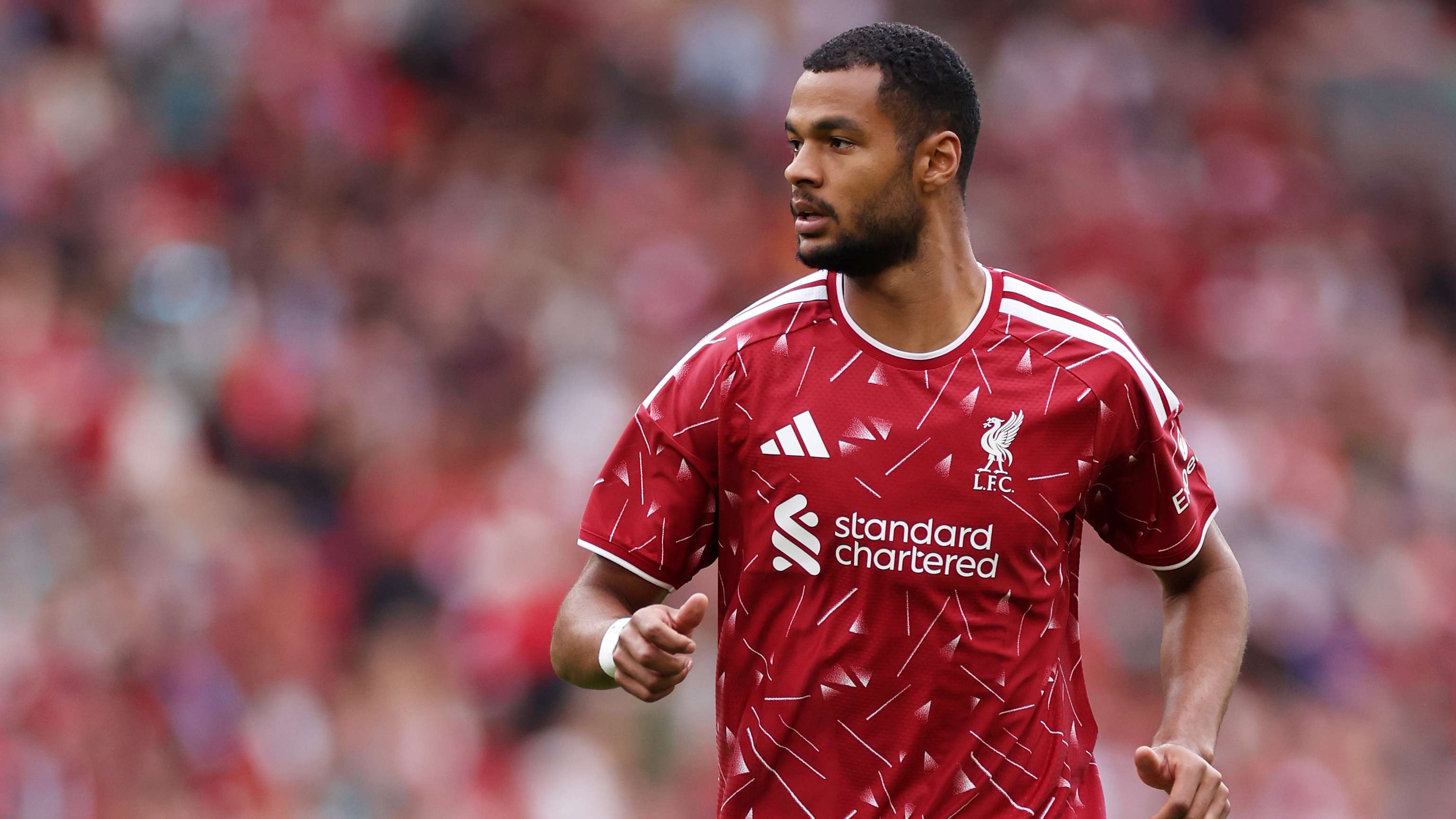 British press see major change in Cody Gakpo and offer advice to Liverpool  
