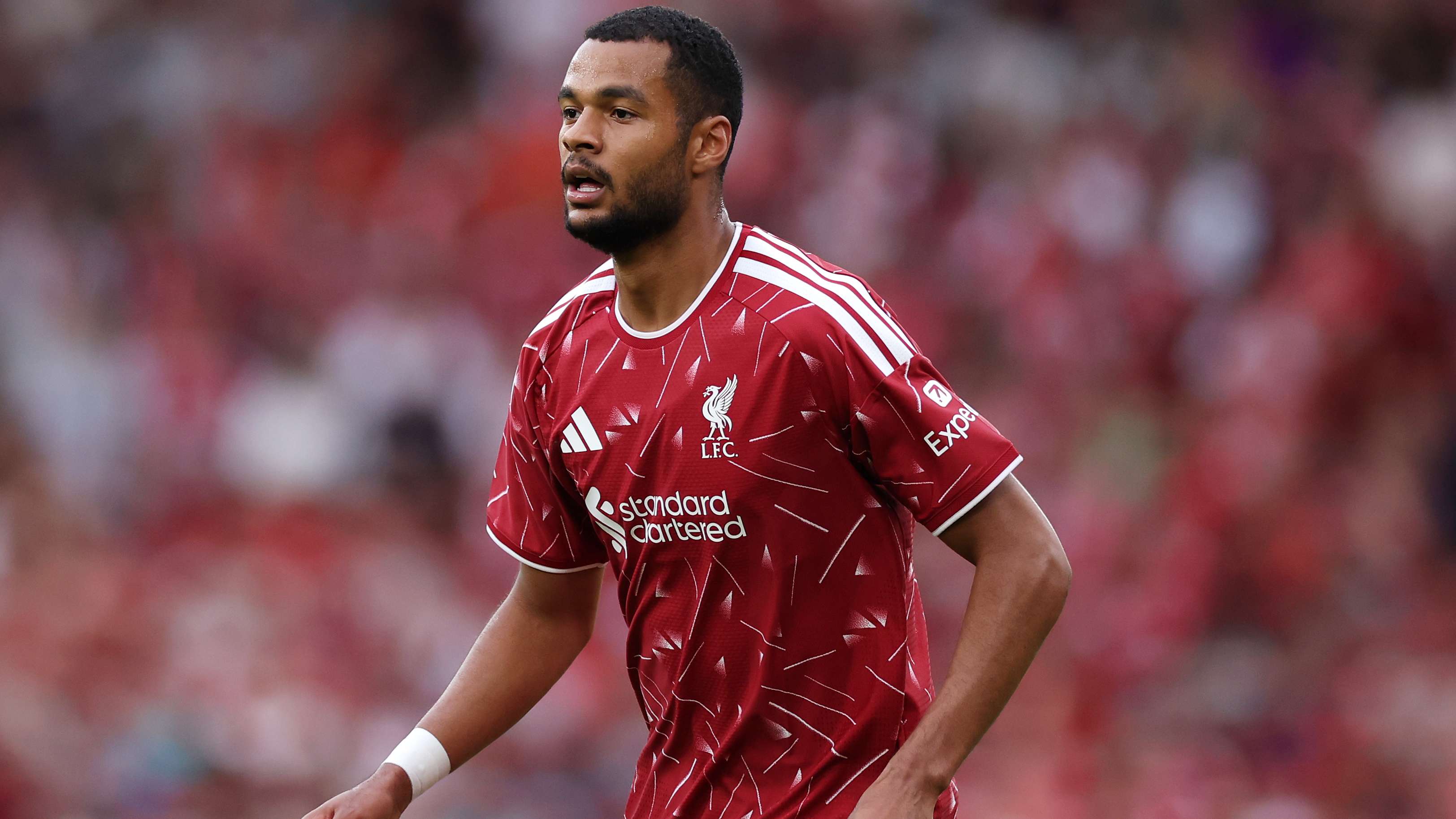 Iraola hints at Gakpo exit as Barcola joins Liverpool  