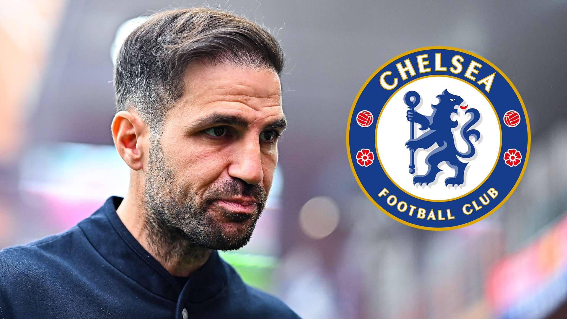 Fabregas lines up another Chelsea swoop!  